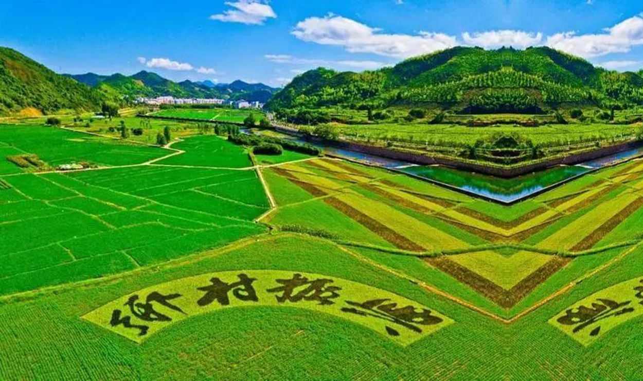 联系我们