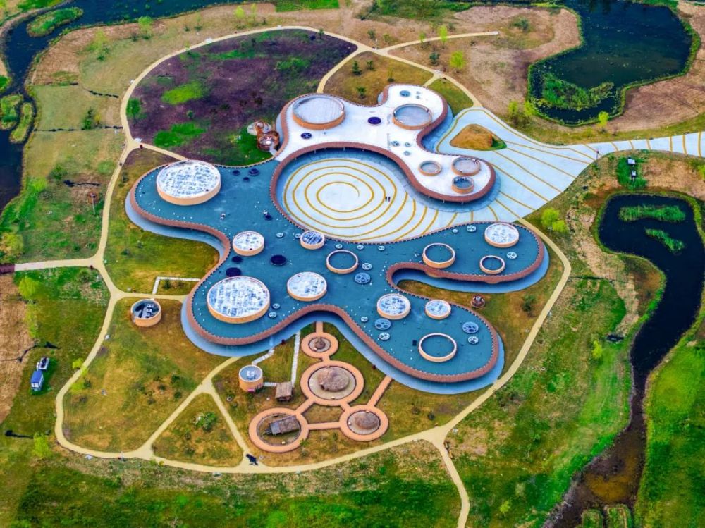 “五千年文明看良渚,八千年起源看贾湖”(图7)