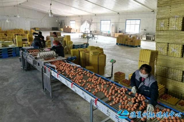 临夏县：擦亮“甘味”品牌 助力乡村振兴(图1)