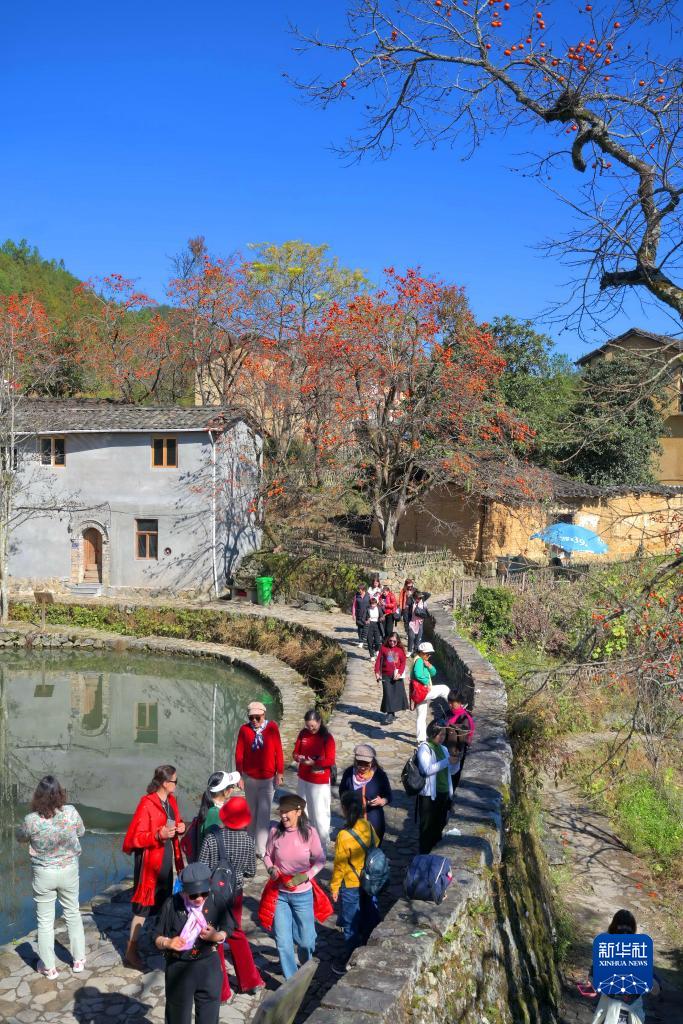 走出特色乡村振兴之路(图4)