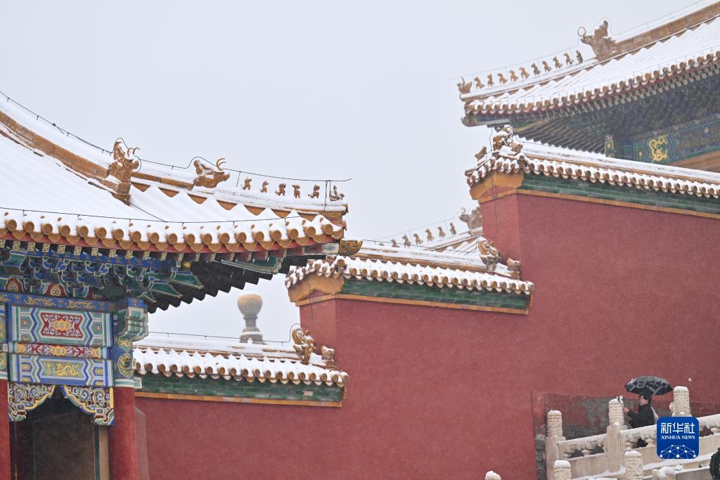 故宫赏雪(图8)