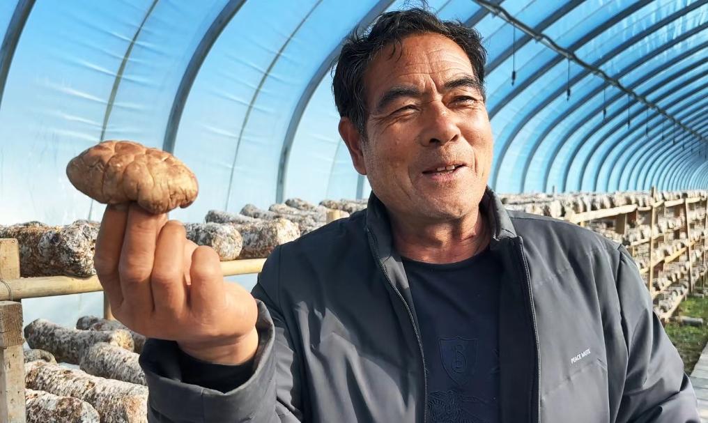 从万元到百万元，看卡子村的振兴“三级跳”(图3)