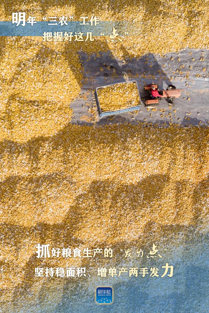 明年“三农”工作，这几个“点”要把握好(图1)