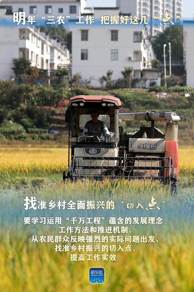 明年“三农”工作，这几个“点”要把握好(图4)