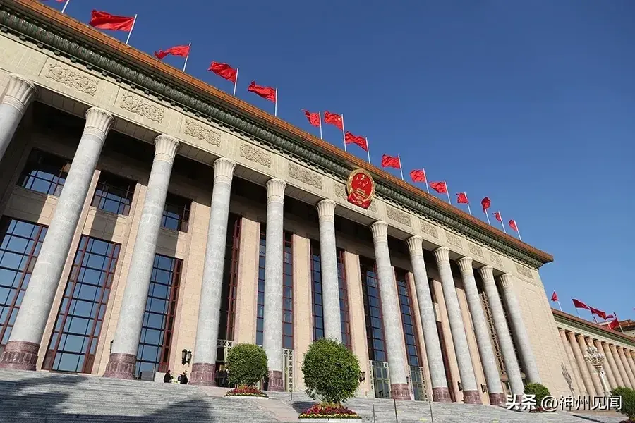 王谨|辞旧迎新 回眸展望(图4)