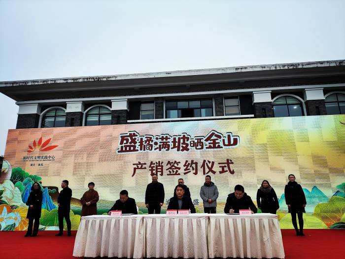 丰收啦！重庆渝北大盛柑橘满坡晒金山(图4)