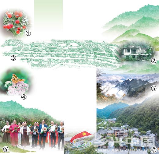 商洛朱家湾村： 青瓦土墙 溪水潺潺(图1)
