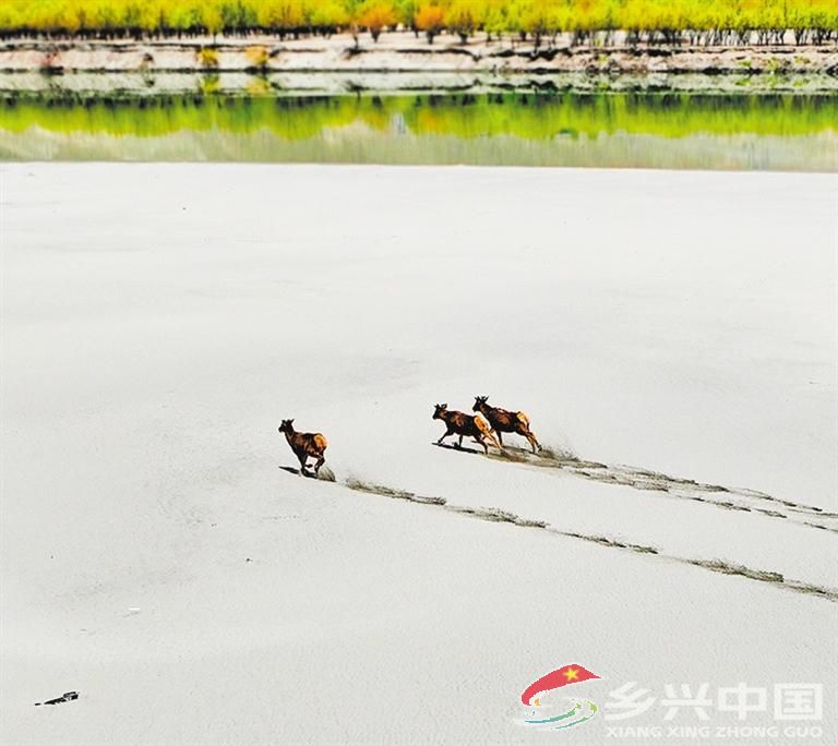 创建生态文明高地——西藏山南市掠影(图8)