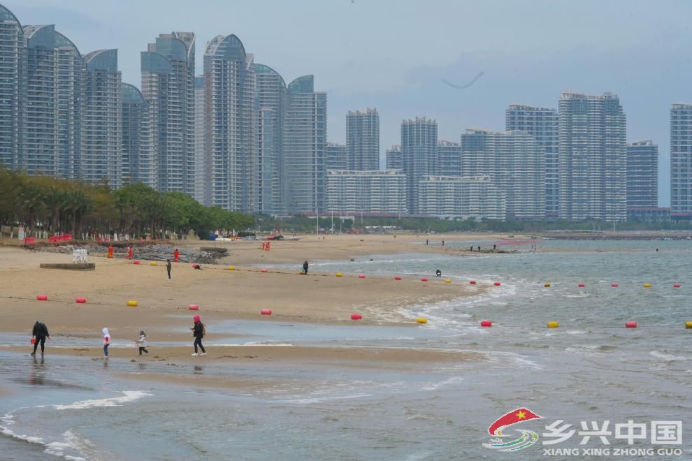 从“垃圾海平面”到“滨海浪漫线”的生态蝶变(图2)
