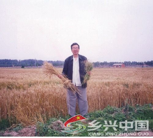 李正名：“农”情在心间(图2)