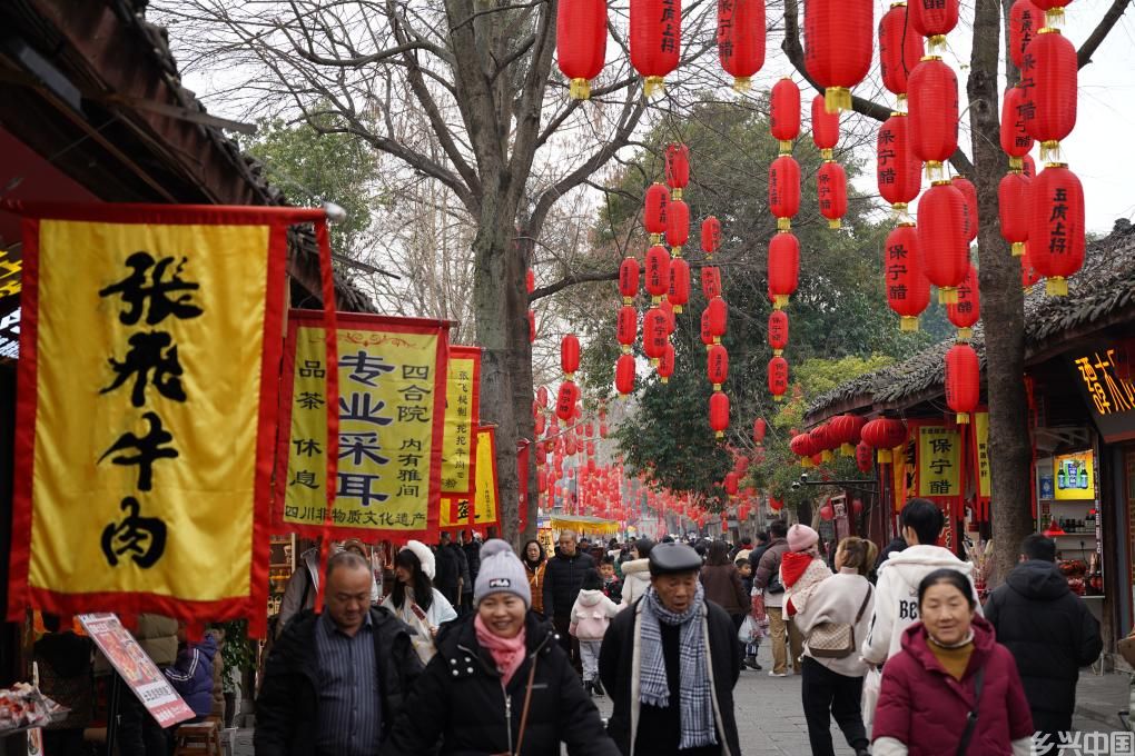 四川阆中：古城里的中国年(图3)