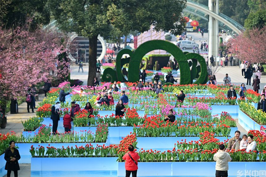 重庆南山植物园，市民游客前来赏花踏春欢度新春佳节。郭旭摄