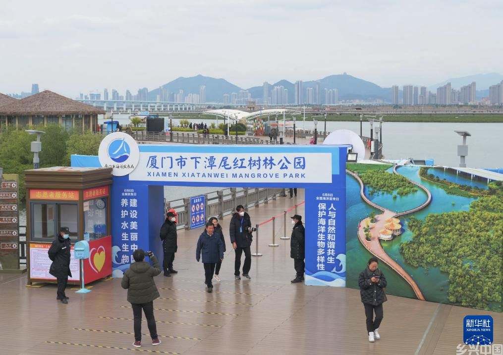 人与自然和谐共生的鹭岛新画卷(图6)