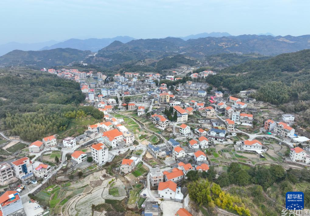 人与自然和谐共生的鹭岛新画卷(图11)