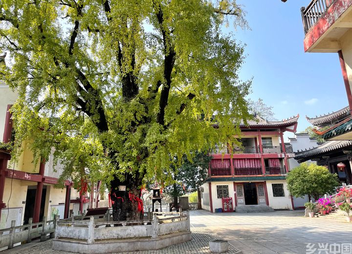 重走《湖南农民运动考察报告》调研路(图3)