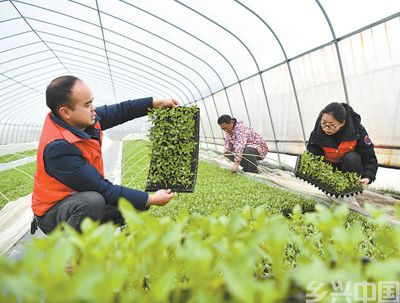 田管更科学 稳产助增收(图2)