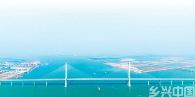 深中通道探秘(图4)