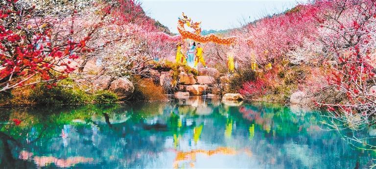 春光无限(图6)
