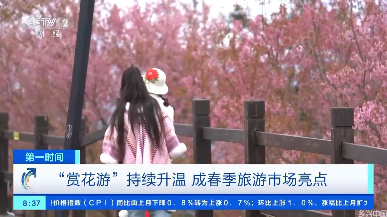 热度同期上涨超3倍！“赏花游”持续升温，成春季旅游市场亮点(图1)