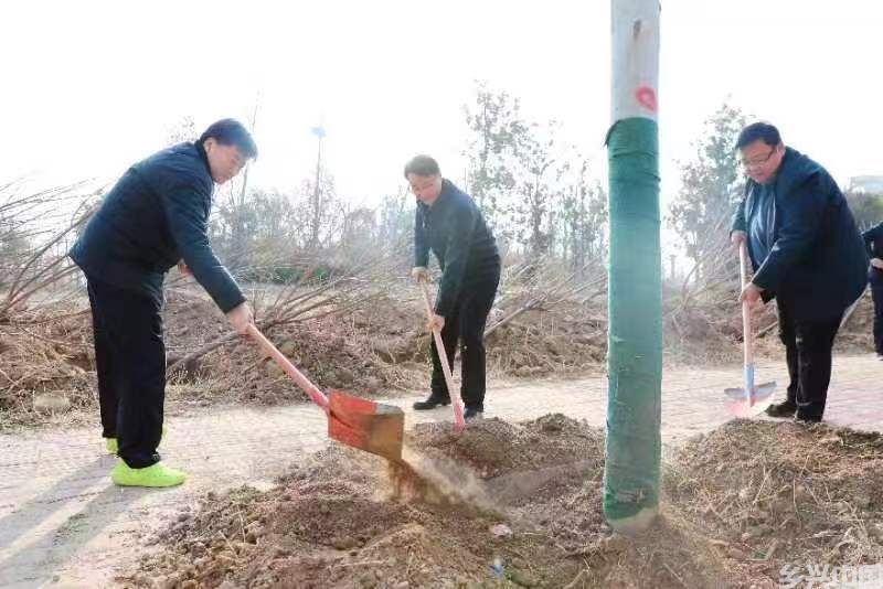 素有2.jpg