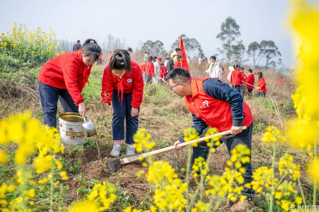 3月11日,在重庆市南川区西城街道永合社区,学生和青年志愿者一起植树。新华社发(瞿明斌摄)