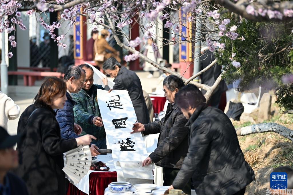 春风和煦 桃花初绽(图3)