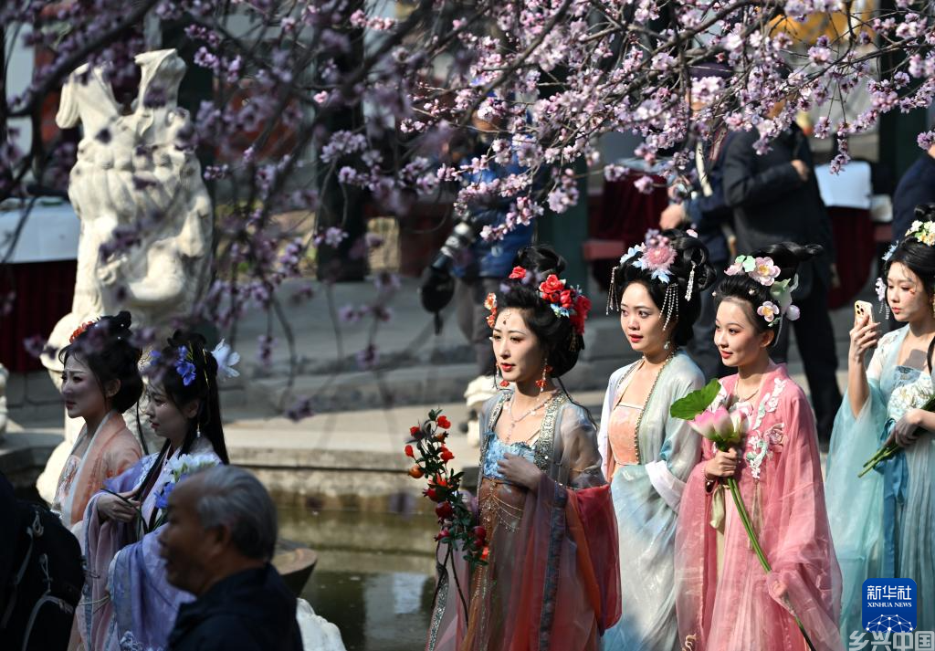 春风和煦 桃花初绽(图4)