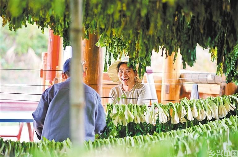 丰富“菜篮子”(图3)