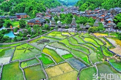 春光正好,音乐之花于乡野绽放 春光正好,音乐之花于乡野绽放
