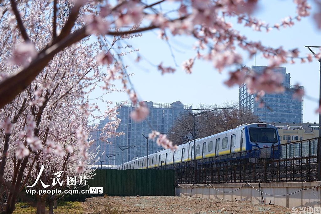 北京：开往春天的列车