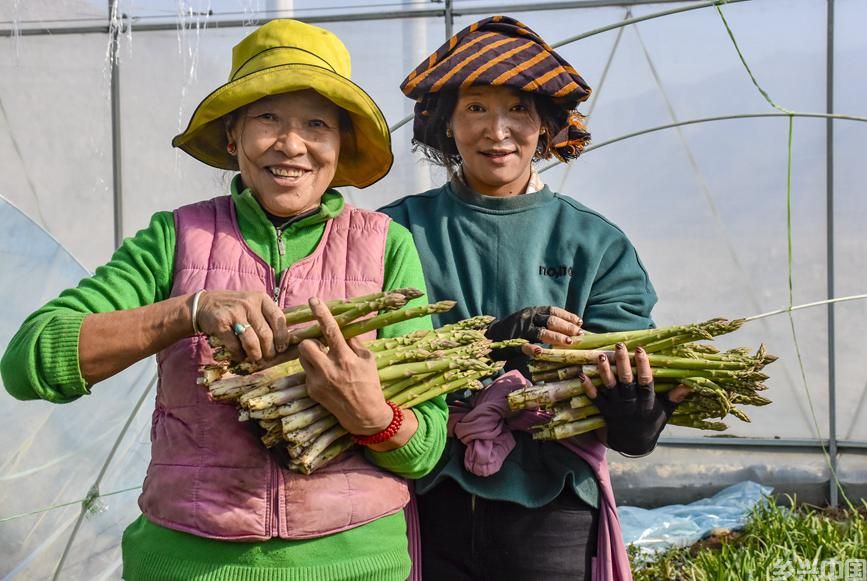 周边农牧民群众积极参与生产加工。刘枫摄