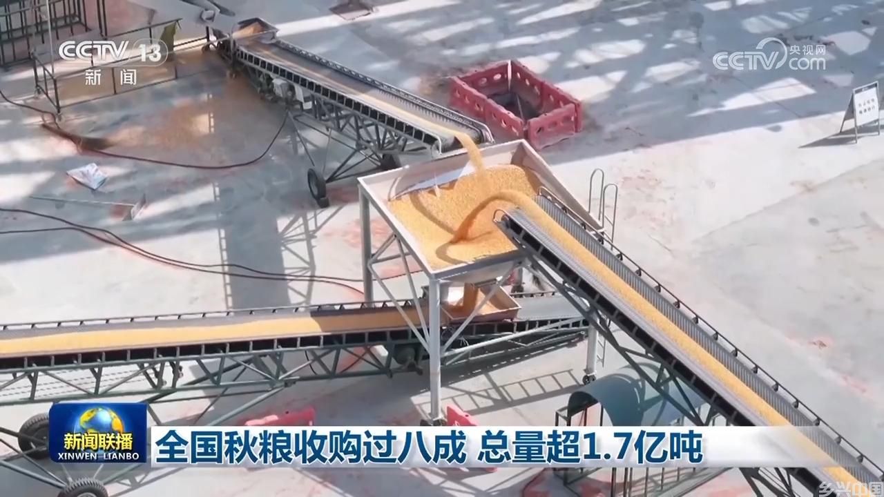 全国秋粮收购过八成 总量超1.7亿吨(图1)