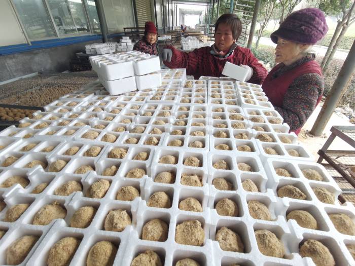 河南驻马店：让鸡蛋增值 让乡亲致富(图2)
