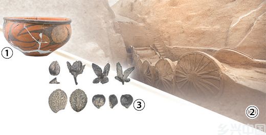 考古新发现与新趋势(图1)