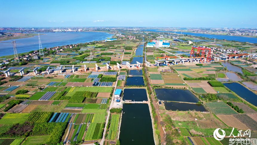 南昌市东湖区扬子洲镇蔬菜基地绿意盎然。人民网记者 毛思远摄
