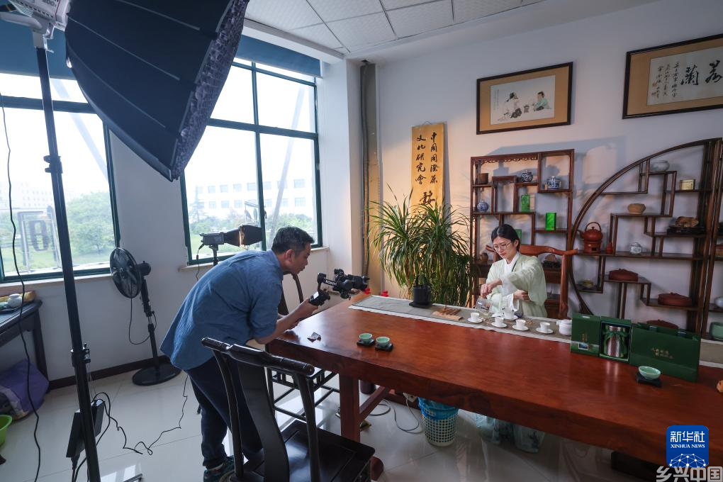 浙江金华：千年贡茶焕发新生 一片茶叶富一方百姓(图5)