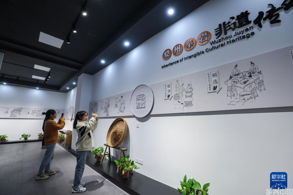 浙江金华：千年贡茶焕发新生 一片茶叶富一方百姓(图6)