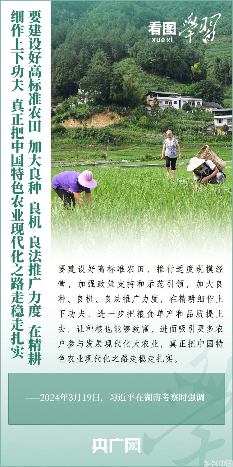 推广良田、良种、良法、良机，给农业现代化插上科技的翅膀(图9)