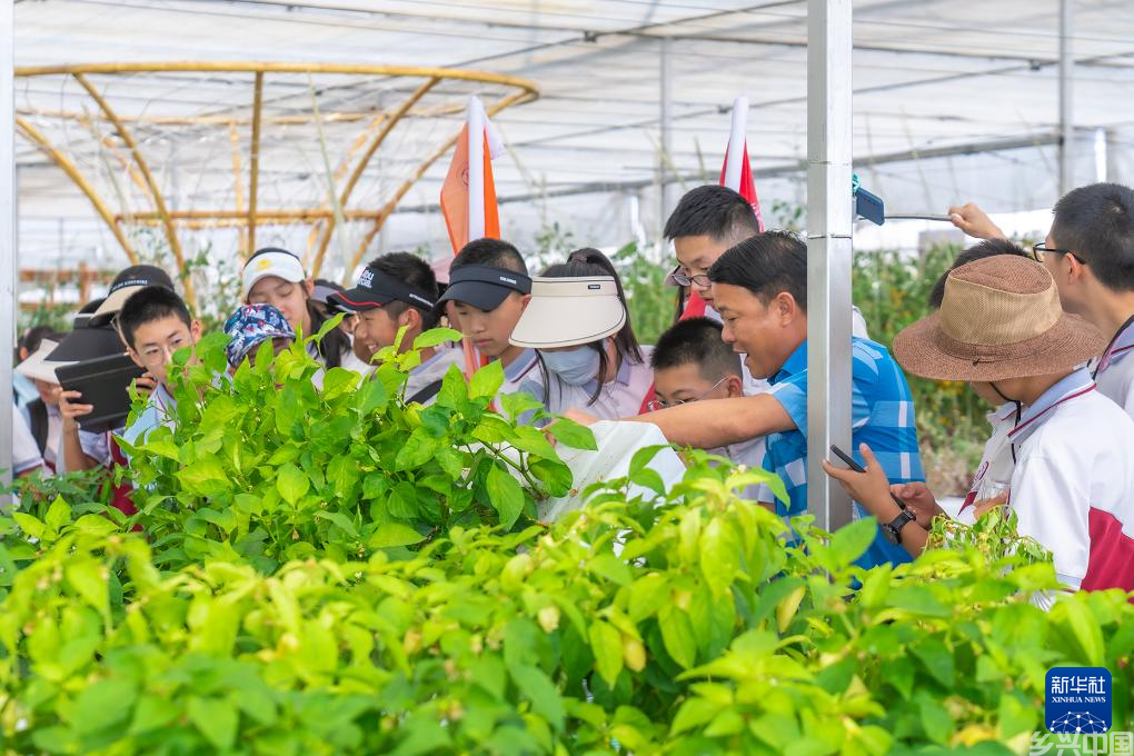 科技农业助力打造“天府第二粮仓”(图10)
