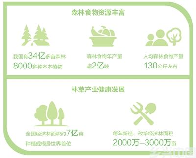 走进龙江森工林区探访转型发展—— 茫茫林海 满满粮仓(图3)