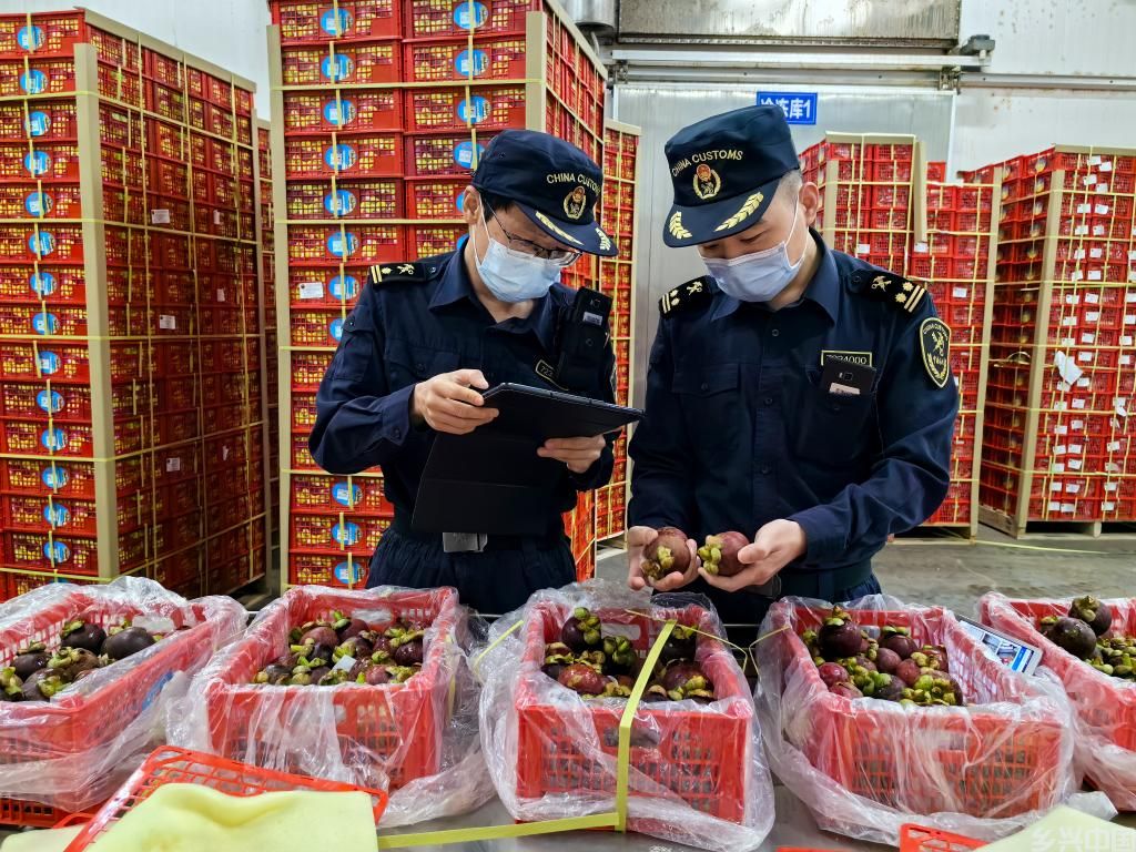 小水果，大市场(图2)
