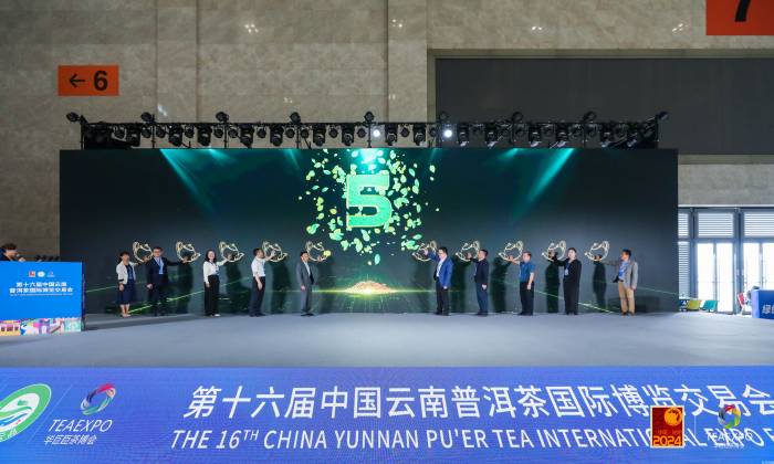 第十六届普洱茶博览会开幕(图1)