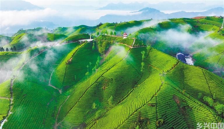 春和景明(图7)