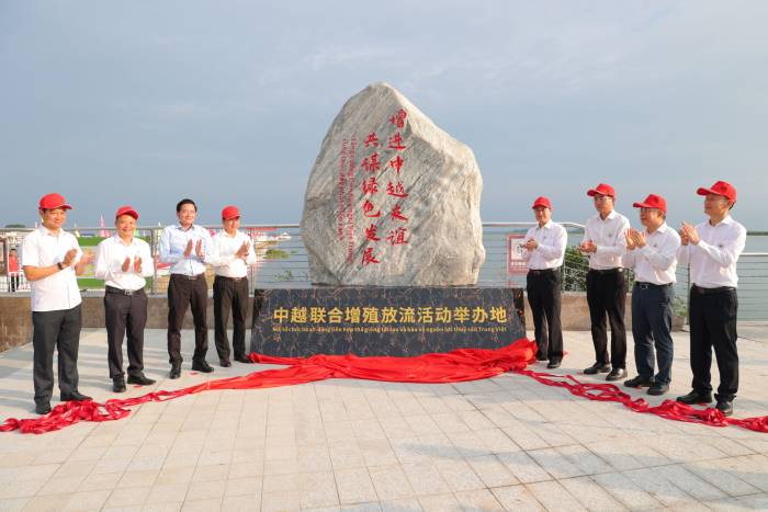 中越联合举行2024年北部湾渔业资源增殖放流活动(图3)