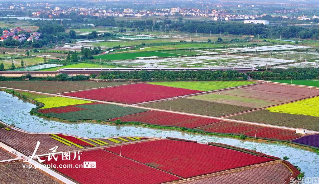 2024年5月12日，俯瞰江西省南昌市南昌县广福镇木山村花卉苗木种植基地。