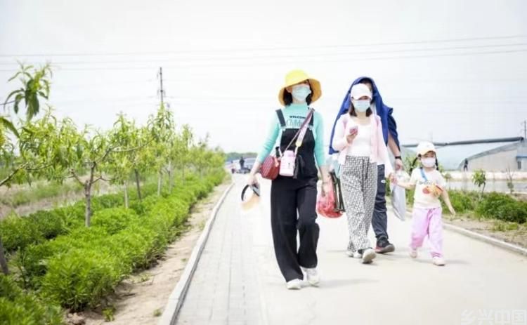 滨州市滨城区秦皇台乡：“近郊游”唱出乡村振兴一台“好戏”(图2)
