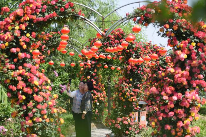 山东郯城：实施“1238”靓化提升工程(图1)