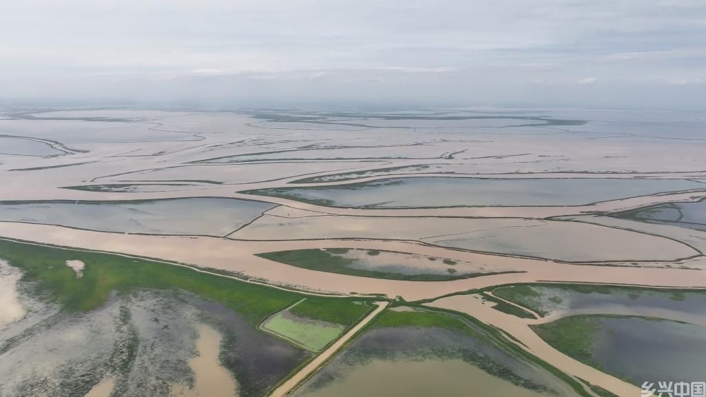 围湖造地、圈水养殖……鄱阳湖水域非法矮围何时休？(图1)