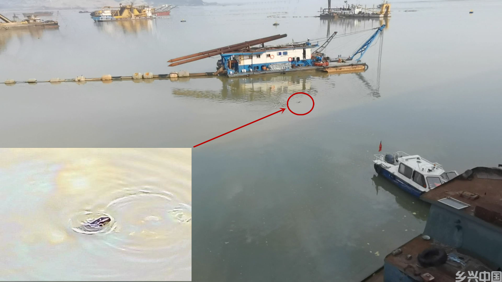 围湖造地、圈水养殖……鄱阳湖水域非法矮围何时休？(图4)