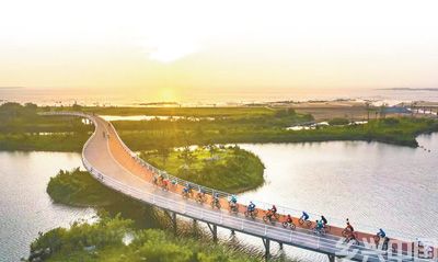 山东日照，有条阳光海岸绿道(图4)